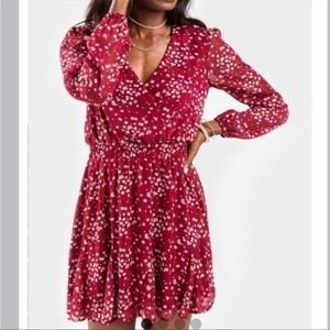 Francesca’s Juliet Floral Maroon Mini Dress